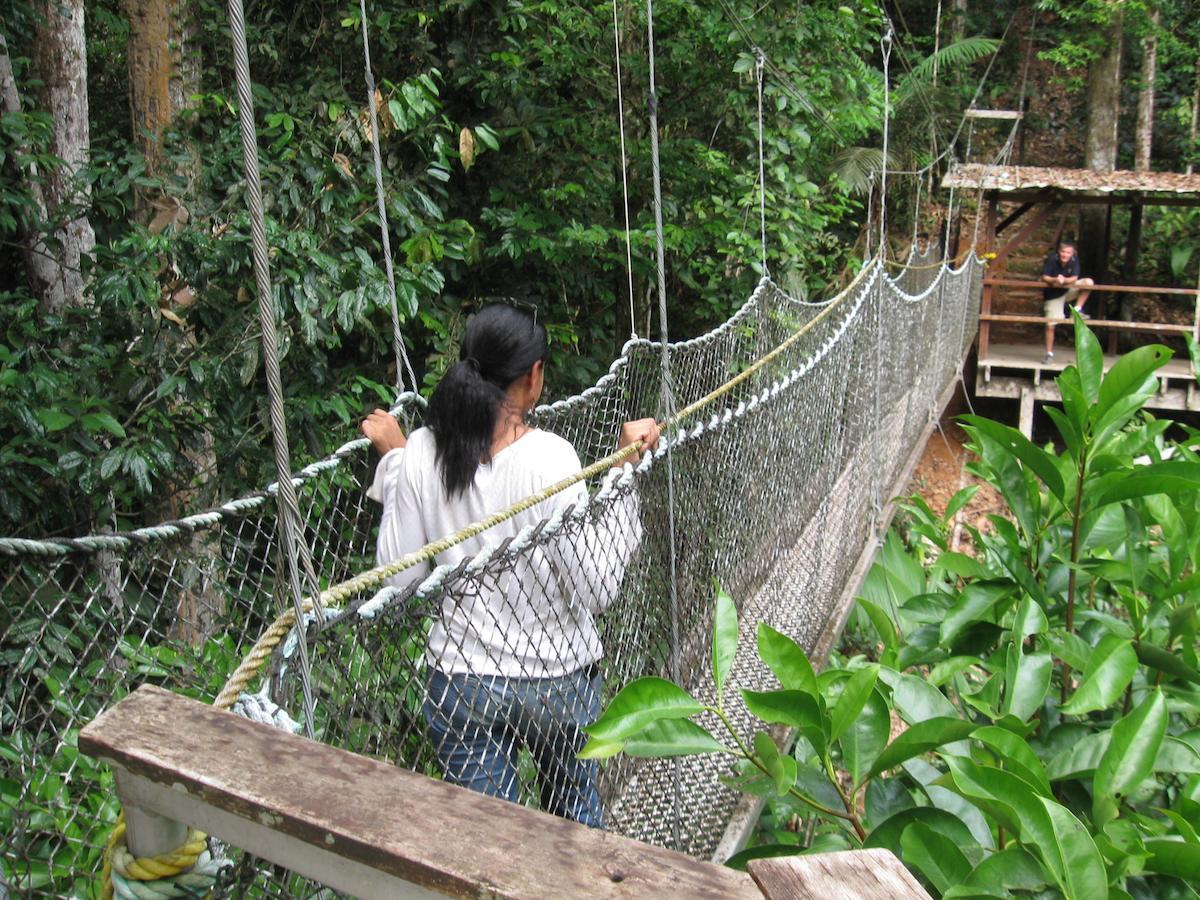 Iwokrama River Lodge Makari Buitenkant foto
